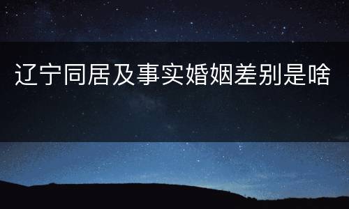 辽宁同居及事实婚姻差别是啥