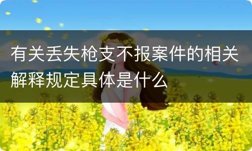 有关丢失枪支不报案件的相关解释规定具体是什么