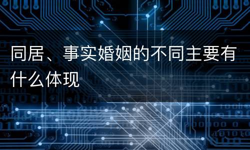 同居、事实婚姻的不同主要有什么体现