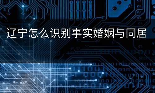 辽宁怎么识别事实婚姻与同居