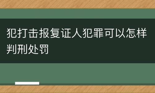 犯打击报复证人犯罪可以怎样判刑处罚