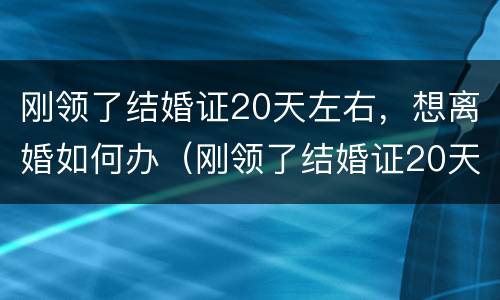 刚领了结婚证20天左右，想离婚如何办（刚领了结婚证20天左右,想离婚如何办理）