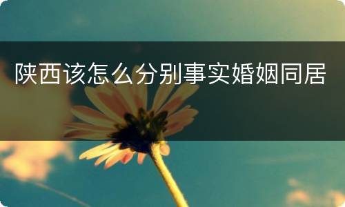 陕西该怎么分别事实婚姻同居