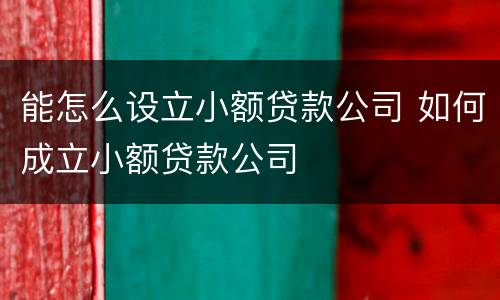 能怎么设立小额贷款公司 如何成立小额贷款公司