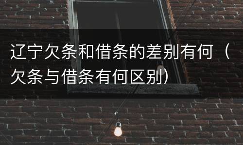 辽宁欠条和借条的差别有何（欠条与借条有何区别）