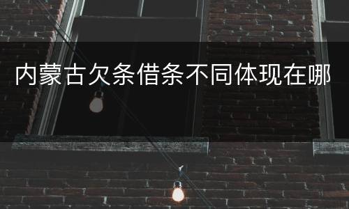 内蒙古欠条借条不同体现在哪