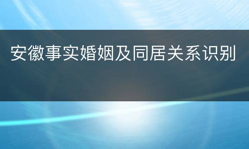 安徽事实婚姻及同居关系识别