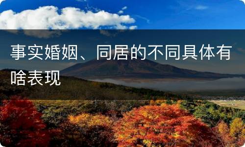 事实婚姻、同居的不同具体有啥表现