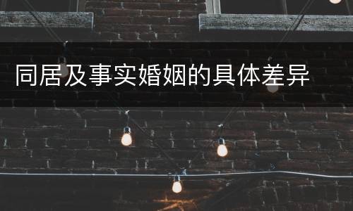 同居及事实婚姻的具体差异