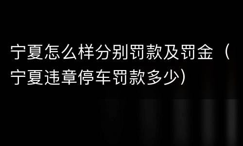 宁夏怎么样分别罚款及罚金（宁夏违章停车罚款多少）