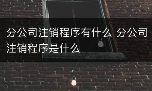 分公司注销程序有什么 分公司注销程序是什么