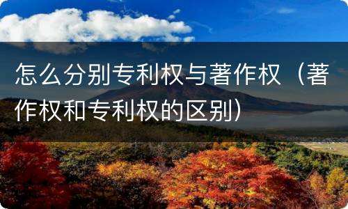 怎么分别专利权与著作权（著作权和专利权的区别）