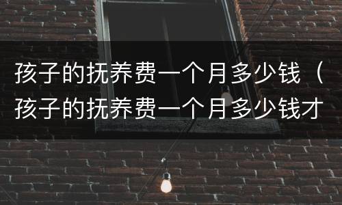 孩子的抚养费一个月多少钱（孩子的抚养费一个月多少钱才够）