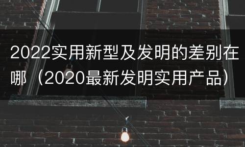 2022实用新型及发明的差别在哪（2020最新发明实用产品）
