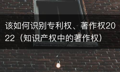 该如何识别专利权、著作权2022（知识产权中的著作权）