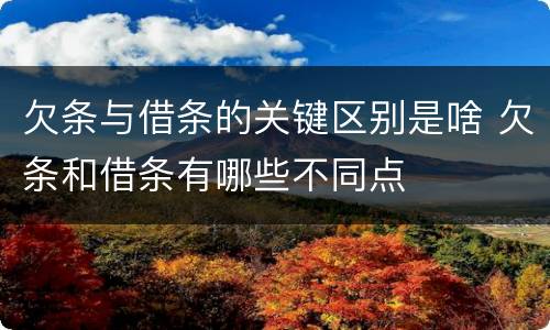 欠条与借条的关键区别是啥 欠条和借条有哪些不同点