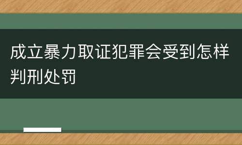 成立暴力取证犯罪会受到怎样判刑处罚
