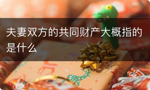夫妻双方的共同财产大概指的是什么