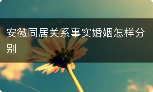 安徽同居关系事实婚姻怎样分别