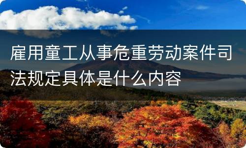 雇用童工从事危重劳动案件司法规定具体是什么内容