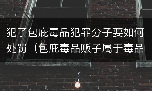 犯了包庇毒品犯罪分子要如何处罚（包庇毒品贩子属于毒品犯罪吗）