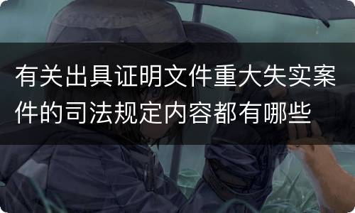有关出具证明文件重大失实案件的司法规定内容都有哪些