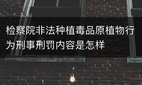 检察院非法种植毒品原植物行为刑事刑罚内容是怎样