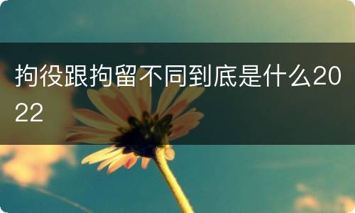 拘役跟拘留不同到底是什么2022