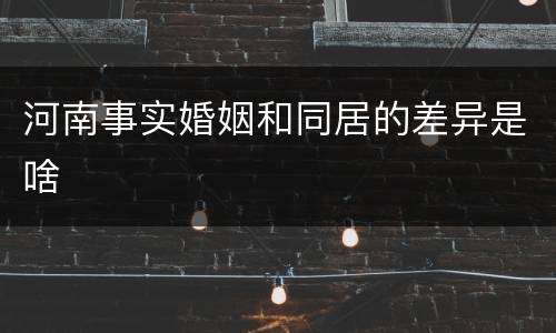 河南事实婚姻和同居的差异是啥