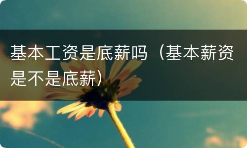 基本工资是底薪吗（基本薪资是不是底薪）