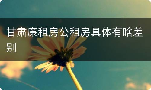 甘肃廉租房公租房具体有啥差别