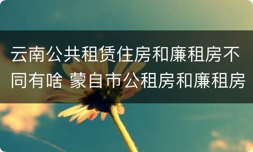 云南公共租赁住房和廉租房不同有啥 蒙自市公租房和廉租房