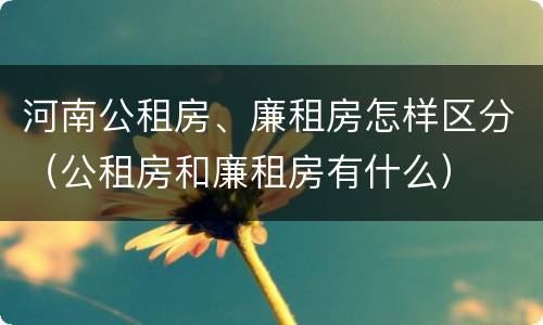 河南公租房、廉租房怎样区分（公租房和廉租房有什么）