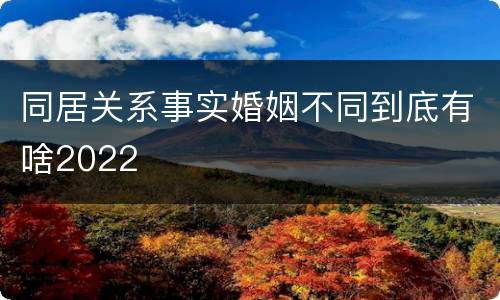 同居关系事实婚姻不同到底有啥2022