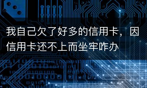 我自己欠了好多的信用卡，因信用卡还不上而坐牢咋办