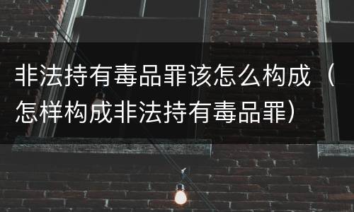 非法持有毒品罪该怎么构成（怎样构成非法持有毒品罪）