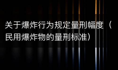 关于爆炸行为规定量刑幅度（民用爆炸物的量刑标准）