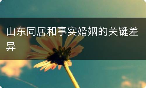 山东同居和事实婚姻的关键差异