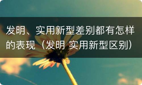 发明、实用新型差别都有怎样的表现（发明 实用新型区别）