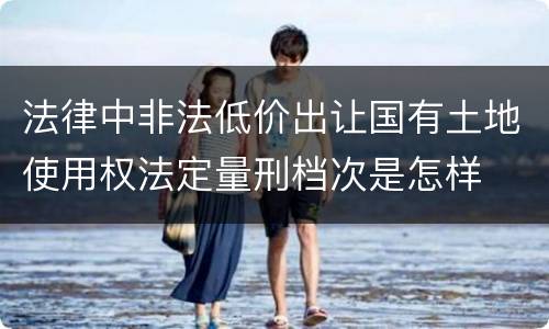 法律中非法低价出让国有土地使用权法定量刑档次是怎样