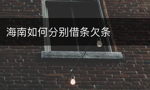 海南如何分别借条欠条