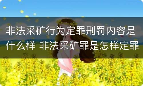 非法采矿行为定罪刑罚内容是什么样 非法采矿罪是怎样定罪