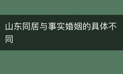 山东同居与事实婚姻的具体不同