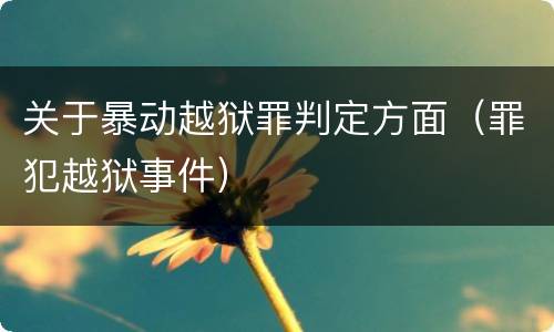 关于暴动越狱罪判定方面（罪犯越狱事件）