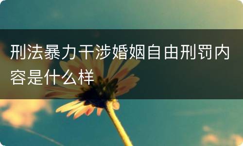 刑法暴力干涉婚姻自由刑罚内容是什么样