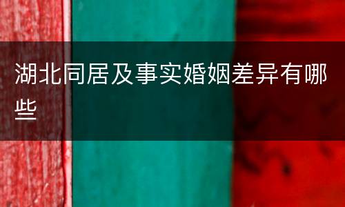 湖北同居及事实婚姻差异有哪些