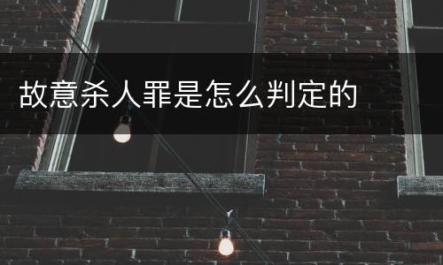 故意杀人罪是怎么判定的