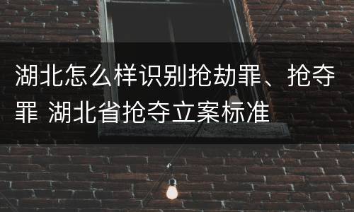 湖北怎么样识别抢劫罪、抢夺罪 湖北省抢夺立案标准