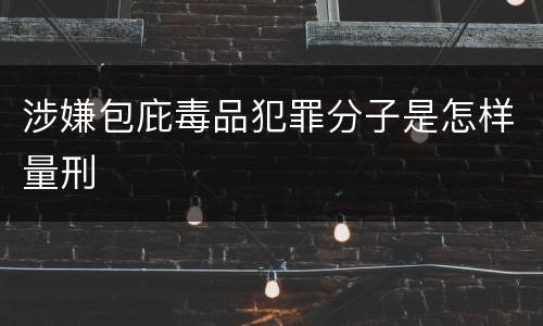 涉嫌包庇毒品犯罪分子是怎样量刑