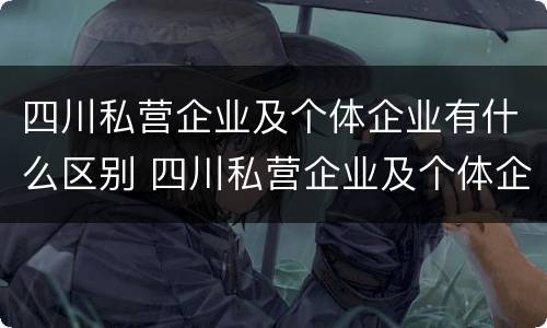 四川私营企业及个体企业有什么区别 四川私营企业及个体企业有什么区别和联系